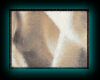 Paint 05 Naturel.jpg